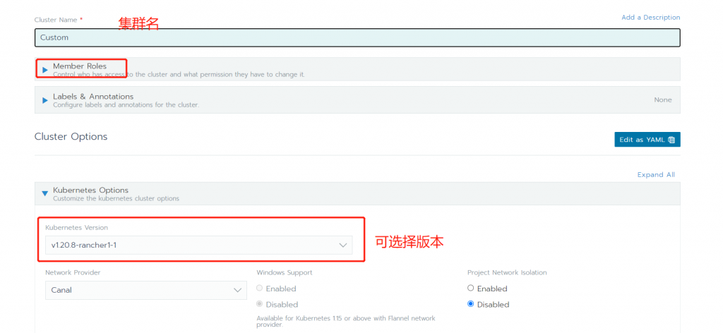 技术与框架、新兴技术能力rancher添加自定义集群插图2