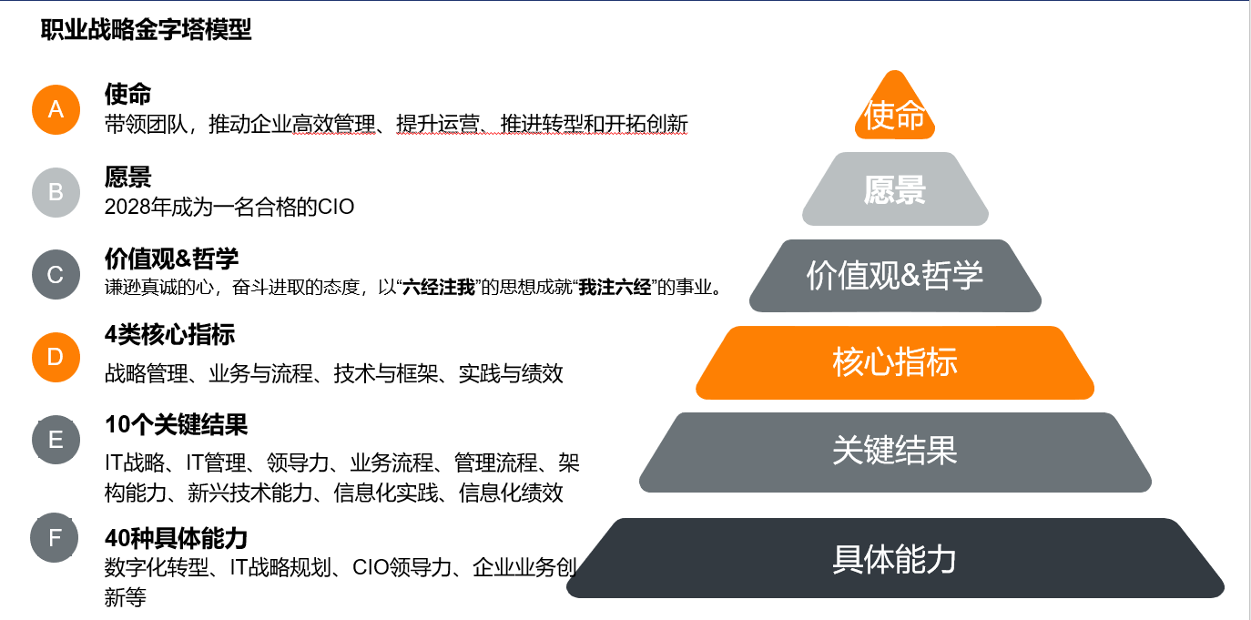 密码保护：CIO总纲缩略图